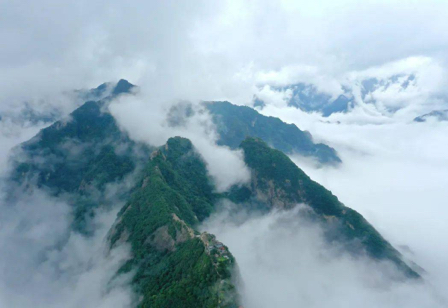 中国电信云数赋能“智慧管山”保护秦岭生态